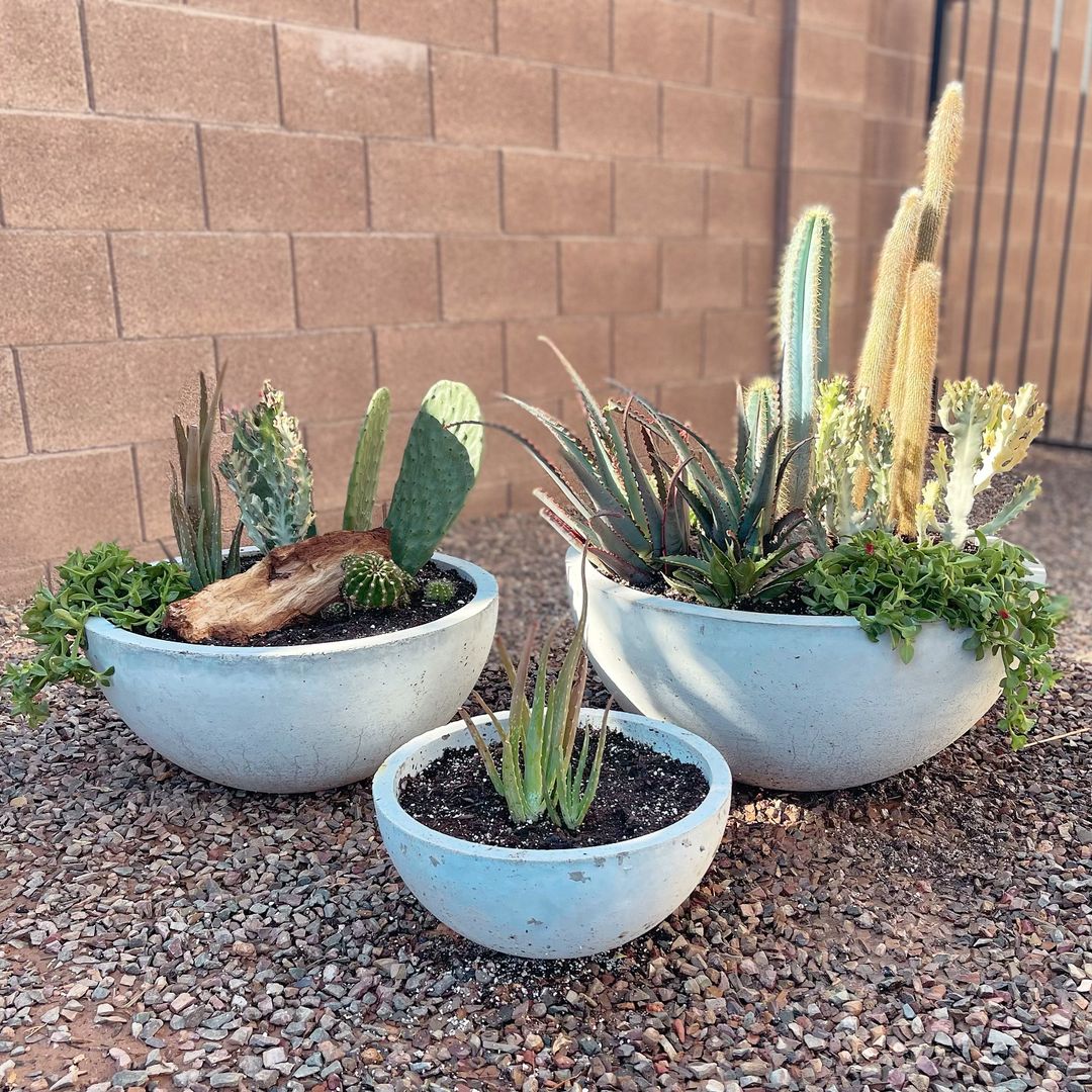 Concrete Planter Set