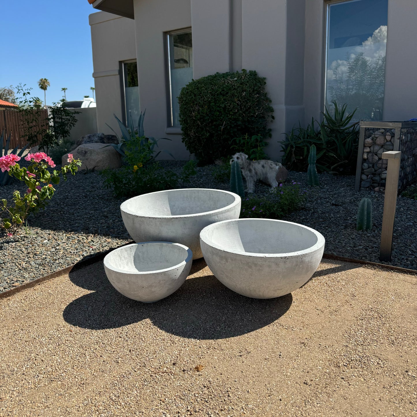 Concrete Planter Set