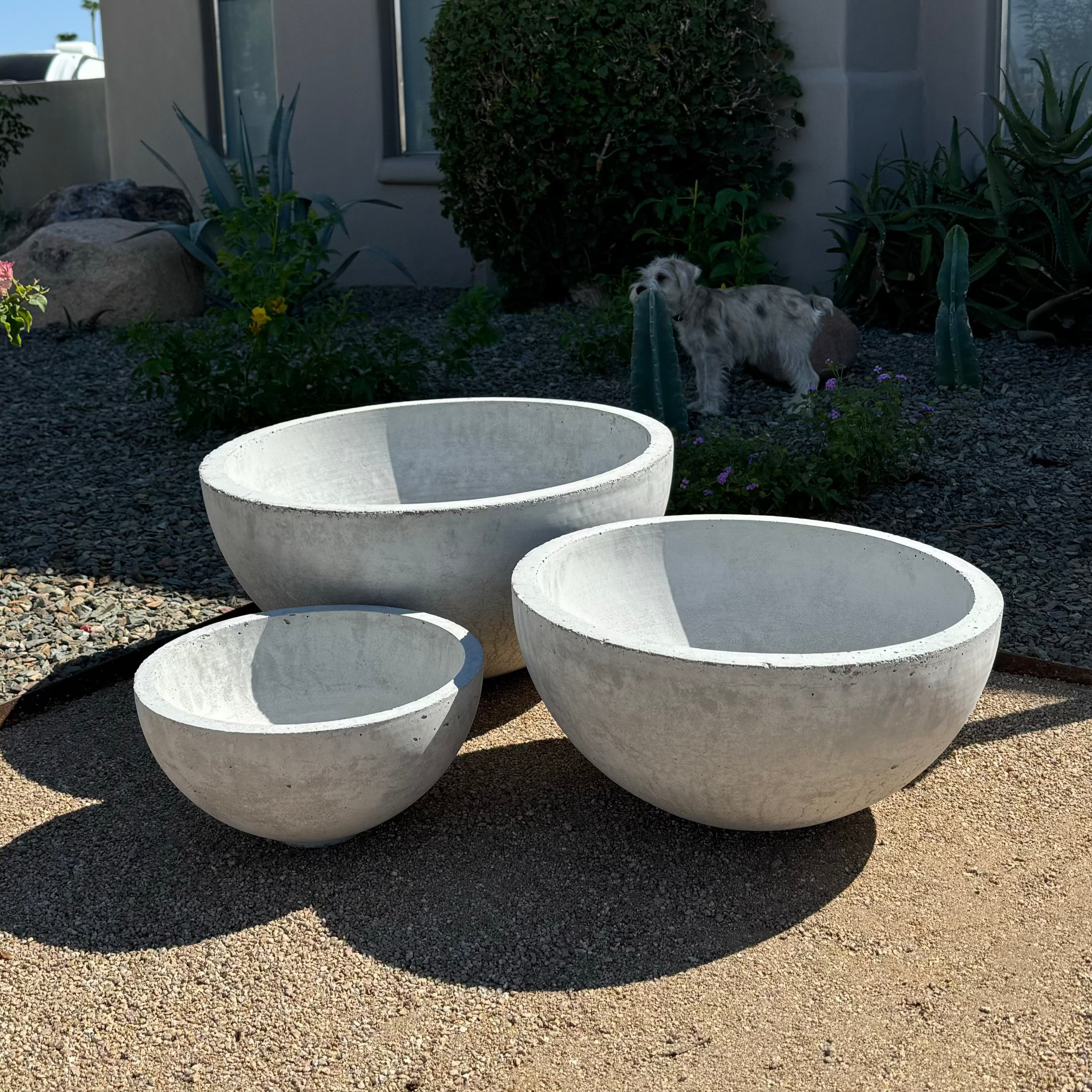 Concrete Bowl Planter Set